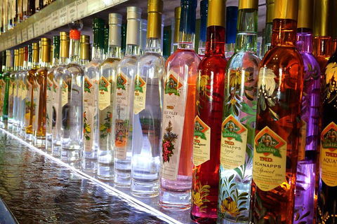 Bar & Brewery Tour - Accommodation Burleigh 4