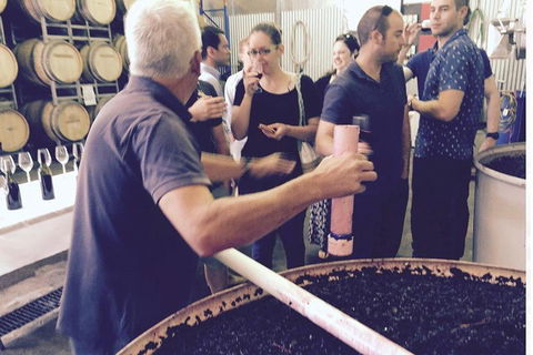 Luxury Private Mclaren Vale Wine Tour - Accommodation Burleigh 4