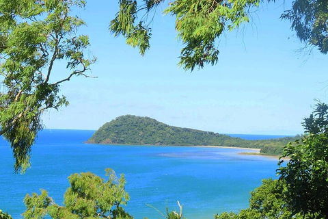 Full Day Tour In The Daintree - Accommodation Burleigh 1