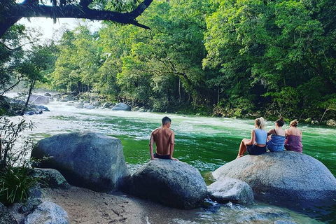 Afternoon Half-Day Daintree Rainforest And River Tour - Accommodation Burleigh 0