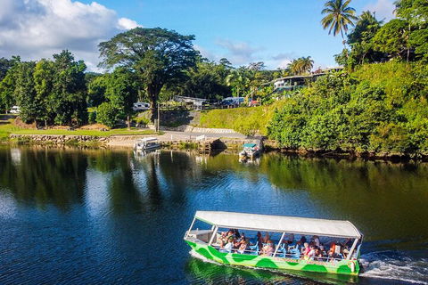 Afternoon Half-Day Daintree Rainforest And River Tour - Accommodation Burleigh 1
