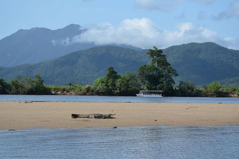 Afternoon Half-Day Daintree Rainforest And River Tour - Accommodation Burleigh 2