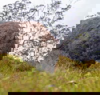 3-Day Cradle Mountain Photography Workshop - Accommodation Burleigh