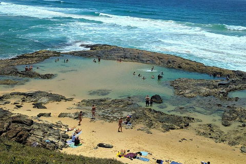 Pippies 3 Days 2 Nights Fraser Island Tour - Accommodation Burleigh 5