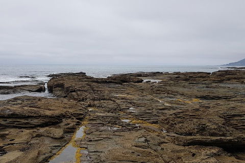 Luxury Private Great Ocean Road Tour Up To 11 People - Entire Vehicle - Accommodation Burleigh 1