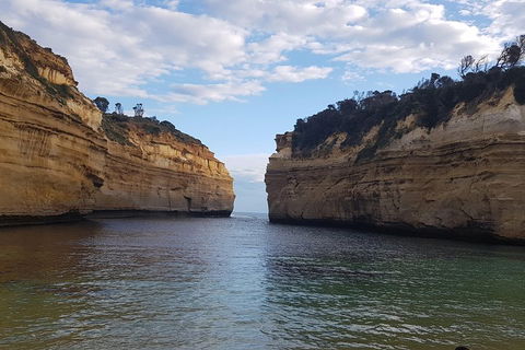 Luxury Private Great Ocean Road Tour Up To 11 People - Entire Vehicle - Accommodation Burleigh 2