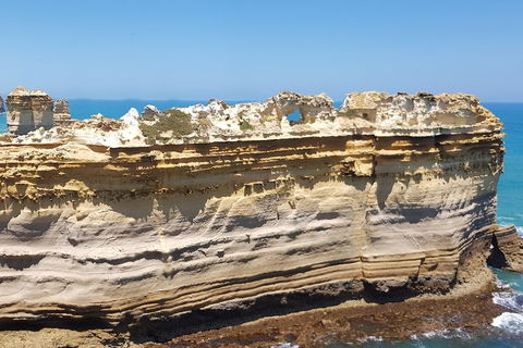 Luxury Private Great Ocean Road Tour Up To 11 People - Entire Vehicle - Accommodation Burleigh 4