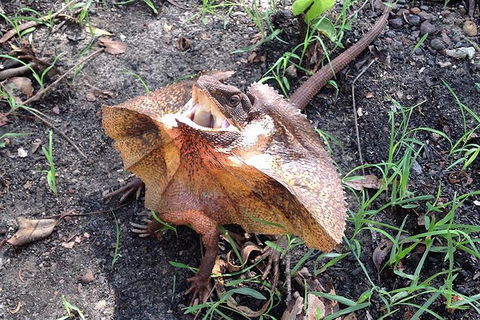 Litchfield National Park And Jumping Crocodile Cruise - Accommodation Burleigh 1