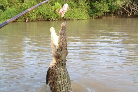 Litchfield National Park And Jumping Crocodile Cruise - Accommodation Burleigh 2
