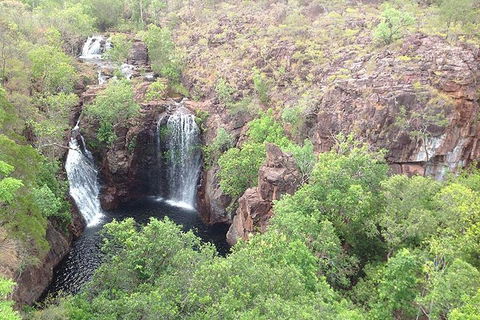 Litchfield National Park And Jumping Crocodile Cruise - Accommodation Burleigh 4