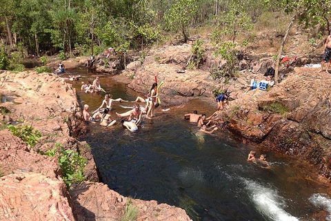 Litchfield National Park And Jumping Crocodile Cruise - Accommodation Burleigh 5