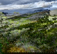 3-Day Tour to the Falls Mountains Lake  More of West Coast Tasmania - Accommodation Burleigh