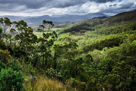 3-Day Tour To The Falls, Mountains, Lake & More Of West Coast Tasmania - Accommodation Burleigh 0