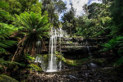 3-Day Tour To The Falls, Mountains, Lake & More Of West Coast Tasmania - Accommodation Burleigh 4