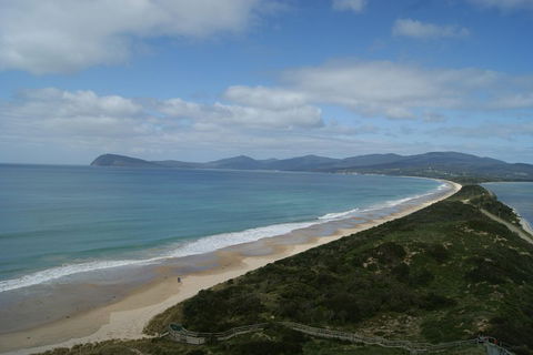 7-Day Best Of Tasmania Adventure Experience From Hobart (flexible Ticket) - Accommodation Burleigh 2