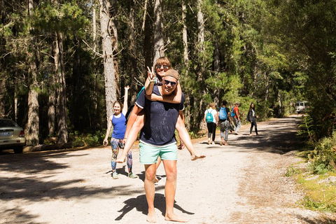 7-Day Best Of Tasmania Adventure Experience From Hobart (flexible Ticket) - Accommodation Burleigh 5