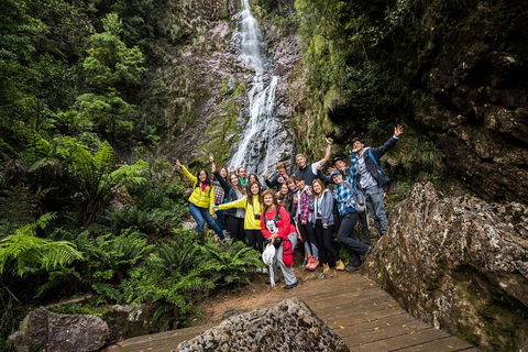 5-Day Lap Of Tasmania Tour From Hobart (flexible Ticket) - Accommodation Burleigh 0