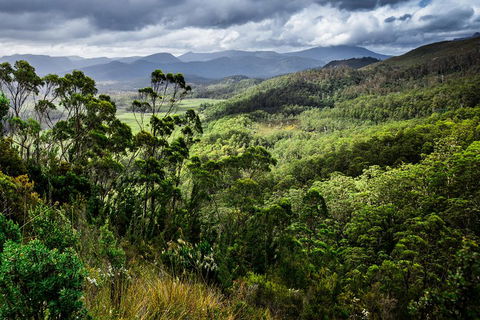 5-Day Lap Of Tasmania Tour From Hobart (flexible Ticket) - Accommodation Burleigh 2