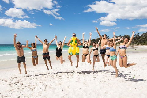 5-Day Lap Of Tasmania Tour From Hobart (flexible Ticket) - Accommodation Burleigh 4