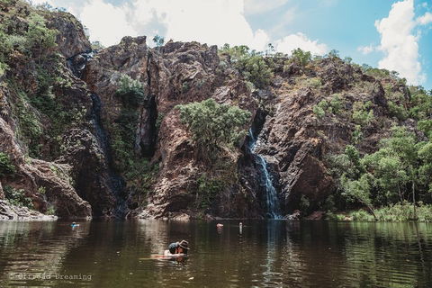 Litchfield National Park Day Tour From Darwin With Waterfalls And Buley Rockhole - Accommodation Burleigh 1