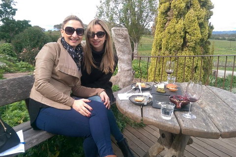 McLaren Vale Intimate Winery Tour By Private Limo - Accommodation Burleigh 4