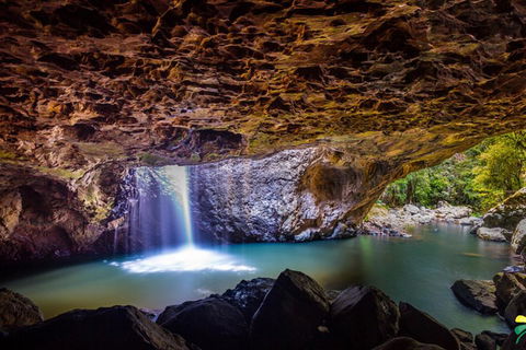 Full-day Springbrook National Park Tour From The Gold Coast - Accommodation Burleigh 3