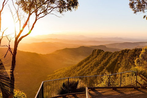 O'Reilly's & Lamington National Park Incl. Alpaca Farm + Vineyard - Accommodation Burleigh 0