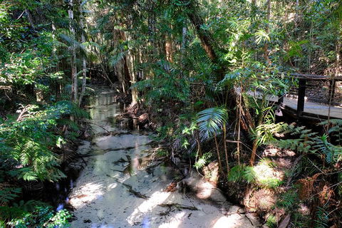 Fraser Island 4WD Tour From Rainbow Beach - Accommodation Burleigh 0
