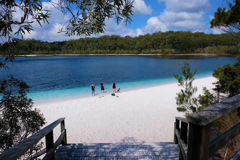 Fraser Island 4WD Tour From Rainbow Beach - Accommodation Burleigh 3