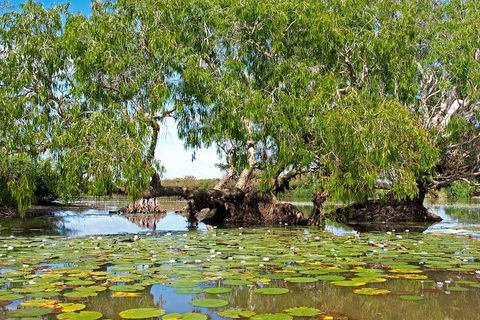 Ethical Adventures - Best In The WET - Litchfield / Kakadu 3 Day- Max 10 Guests - Accommodation Burleigh 1