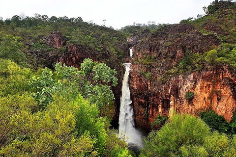Ethical Adventures - Best In The WET - Litchfield / Kakadu 3 Day- Max 10 Guests - Accommodation Burleigh 2