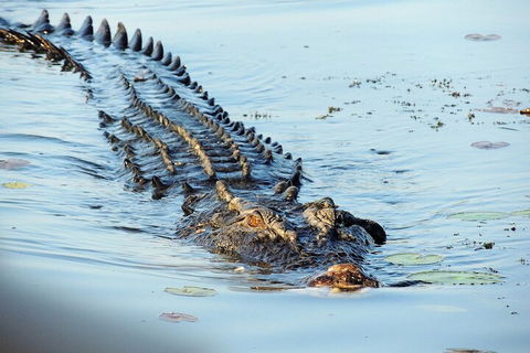 Ethical Adventures - Best In The WET - Litchfield / Kakadu 3 Day- Max 10 Guests - Accommodation Burleigh 4