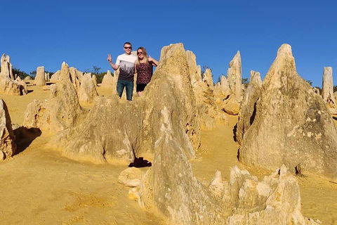 The Pinnacle Adventure Tour - Accommodation Burleigh 4