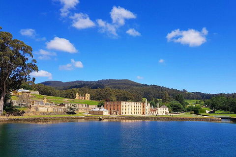 6-Day Tasmania Small-Group Guided Tour With Gourmet Food - Accommodation Burleigh 5