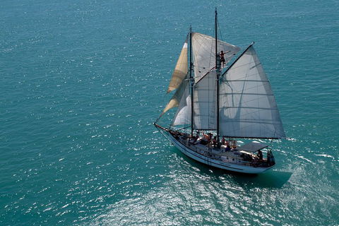 Whitehaven Beach Sailing And Snorkeling Cruise - Accommodation Burleigh 1