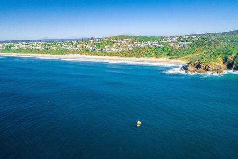 Noosa Oceanrider Scenic Dolphin Safari - Accommodation Burleigh 4