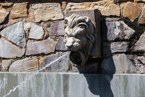 Adelaide 90-Minute Pedicab Tour: Scenic Green & River Experience - Accommodation Burleigh 3