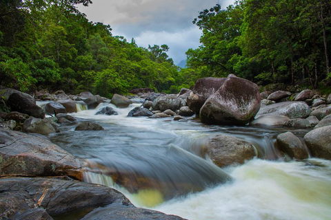 Cape Tribulation Day Tour - Accommodation Burleigh 0