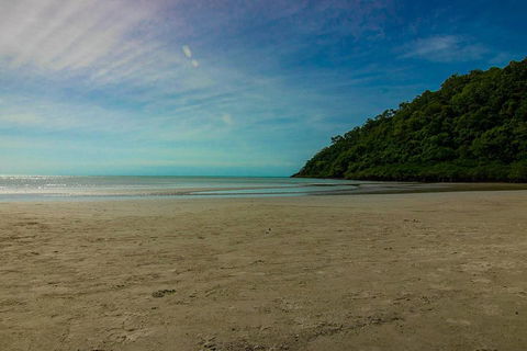 Cape Tribulation Day Tour - Accommodation Burleigh 2