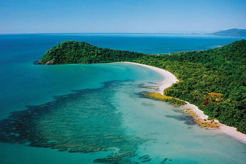 Daintree Rainforest, Cape Tribulation, Mossman Gorge Small-Group Day Tour - Accommodation Burleigh 4