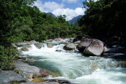 Daintree Rainforest, Cape Tribulation, Mossman Gorge Small-Group Day Tour - Accommodation Burleigh 5