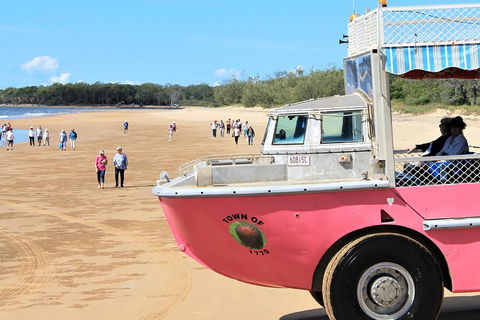 1770 Coastline Tour By LARC Amphibious Vehicle Including Picnic Lunch - Accommodation Burleigh 0
