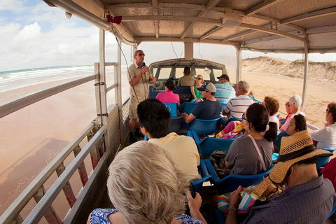 1770 Coastline Tour By LARC Amphibious Vehicle Including Picnic Lunch - Accommodation Burleigh 1