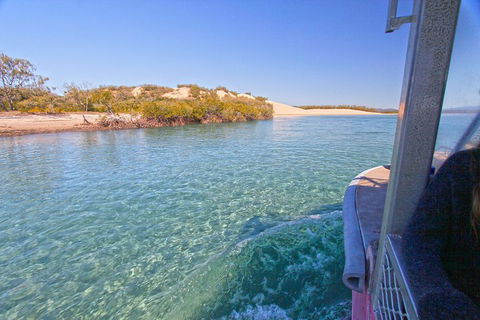 1770 Coastline Tour By LARC Amphibious Vehicle Including Picnic Lunch - Accommodation Burleigh 5