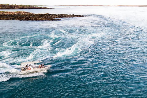 Giant Tides Tour - Cygnet Bay Pearl Farm - Accommodation Burleigh 4