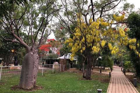 Wet Season Mitchell Falls Tour - Mitchell Falls, Horizontal Falls & Cygnet Bay - Accommodation Burleigh 1
