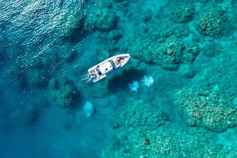 Premium Private Charter - Accommodation Burleigh 0