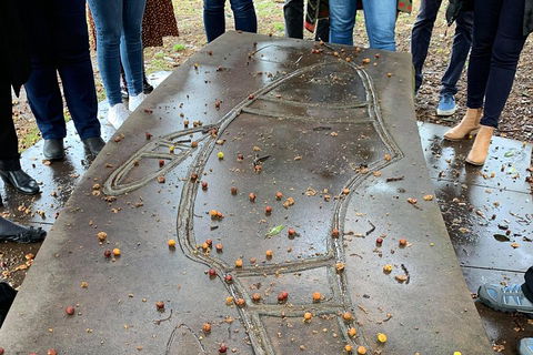 Illi-Langi The Rocks Aboriginal Dreaming Tour - Accommodation Burleigh 4