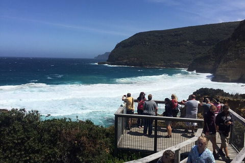 The Port Arthur MEGA Day Trip From Hobart - Accommodation Burleigh 2