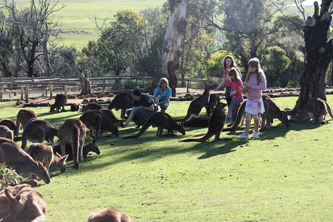 The Port Arthur MEGA Day Trip From Hobart - Accommodation Burleigh 5